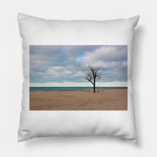 A tree by the lake. Pillow