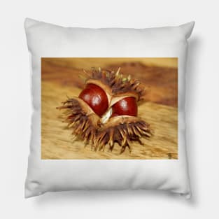 horse chestnut - conker Pillow