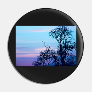 Tree on a pastel sky Pin