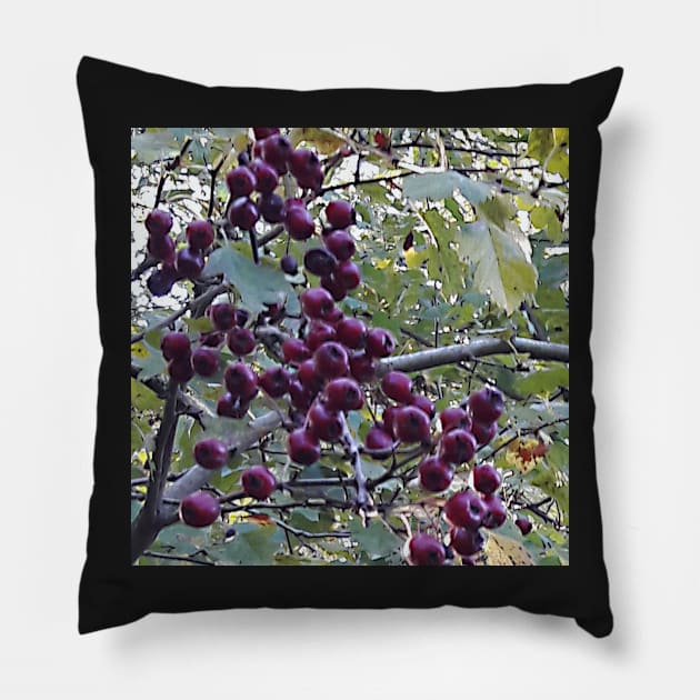 Red berries in Fall Pillow by robelf