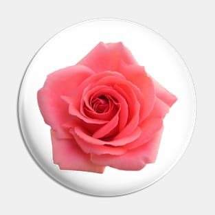 Pink Rose Pin