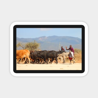 Maasai (or Masai) Herders with Cattle, on the Road, Tanzania Magnet