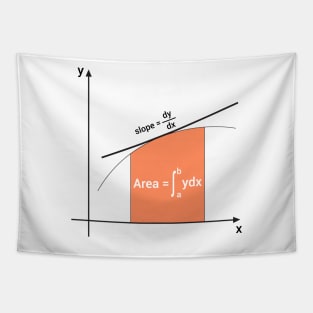 slope of the curve and integral area Tapestry