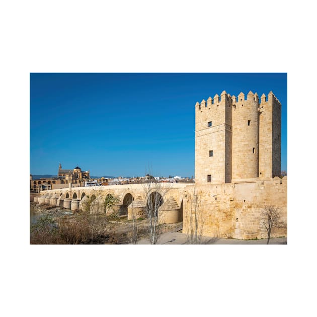 The Roman Bridge - Cordoba by bkbuckley