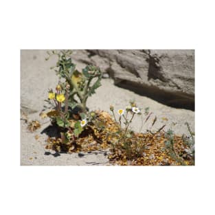 Closeup of Small Desert Wildflowers T-Shirt