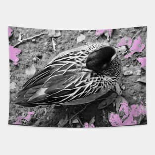 Duck Pink Tapestry