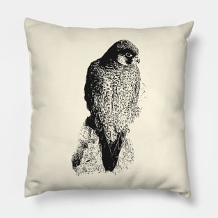 Falcon Pillow