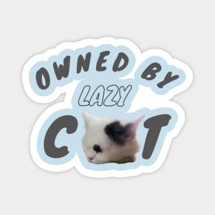 owned by lazy cat Magnet