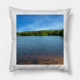 Clear lake Pillow