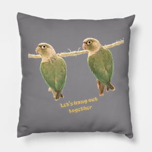 Let's hang out together Pillow