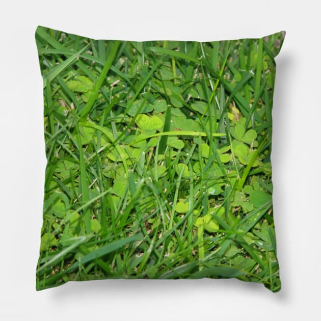 Looking for luck Pillow by FriendlyComputerHelp