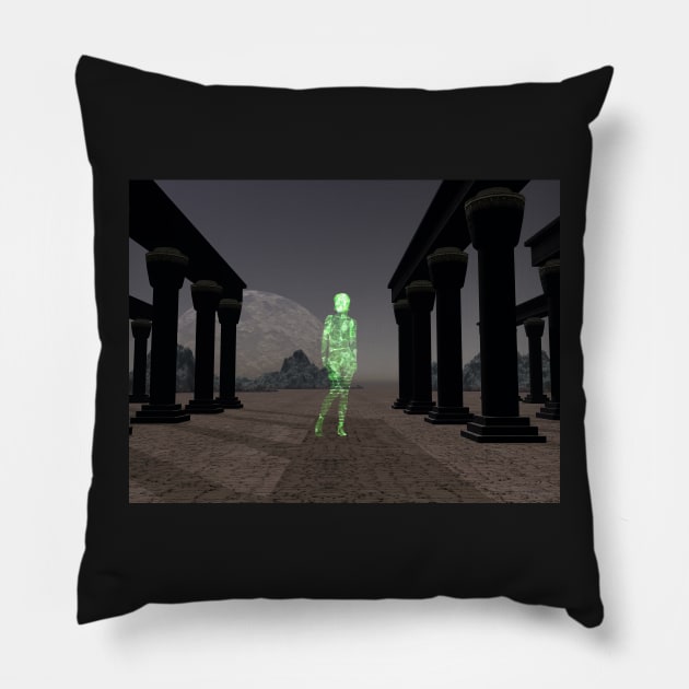 The Virtual Visitor Pillow by sciencenotes