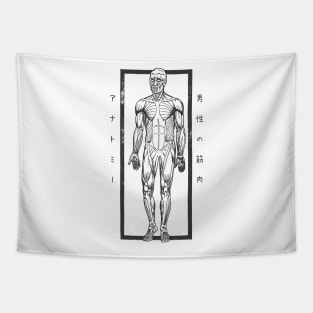 Anatomy Muscles of a Man with Japanese Kanji Tapestry