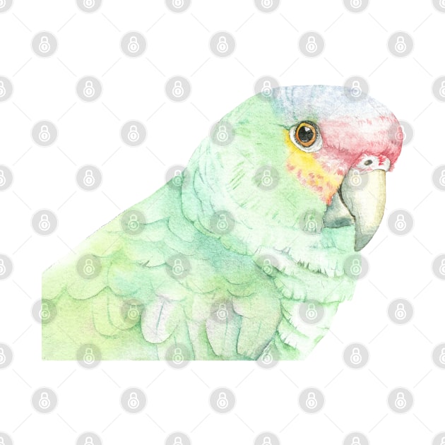 red-lored amazon watercolor portrait parrot by Oranjade0122