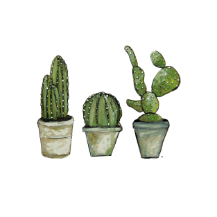Related image
