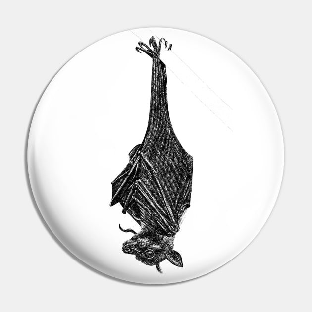 Flying fox bat Pin by lorendowding