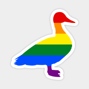 GAY MALLARD DUCK Magnet