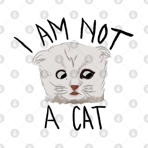 I Am Not A Cat by Becki Sturgeon