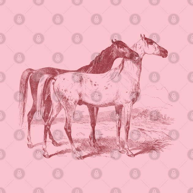 The Love of Horses - Monochrome Illustration by Biophilia