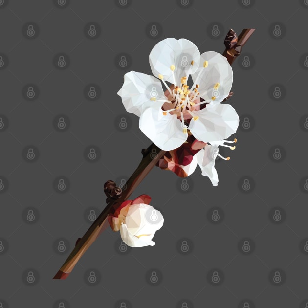 Low Poly Plum Blossom by ErinFCampbell