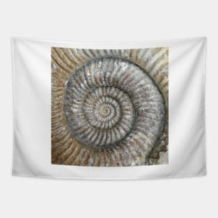 Ammonite Tapestry