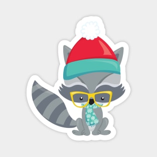 Winter Raccoon, Hipster Raccoon, Glasses, Scarf Magnet