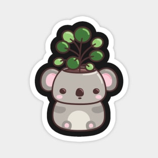 Koala Planter with Pancake Plant Magnet