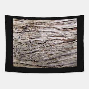 Driftwood Tapestry