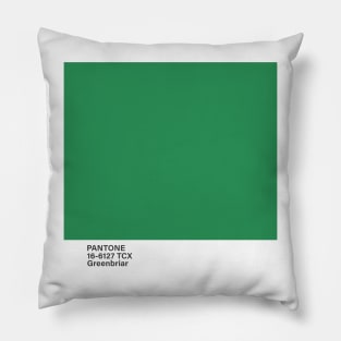 pantone 16-6127 TCX Greenbriar Pillow