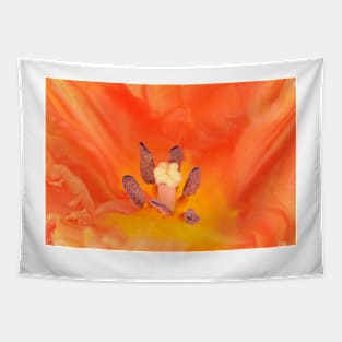 Tulipa  &#39;Monarch Parrot&#39;  Tulip  Parrot Group Tapestry