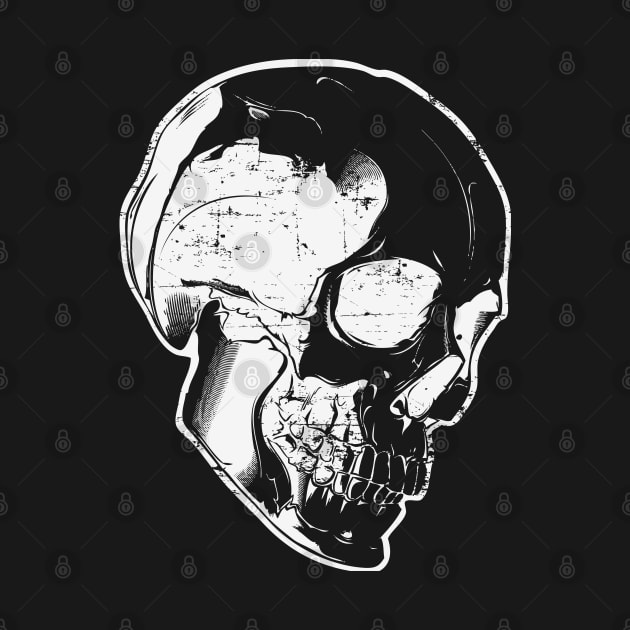 Skull by CTShirts