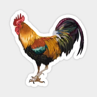 Many Colored Rooster Magnet