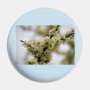 Spring Blossom Pin