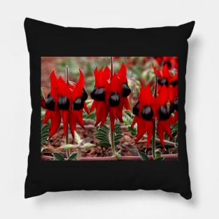 Sturt's Desert Pea Pillow