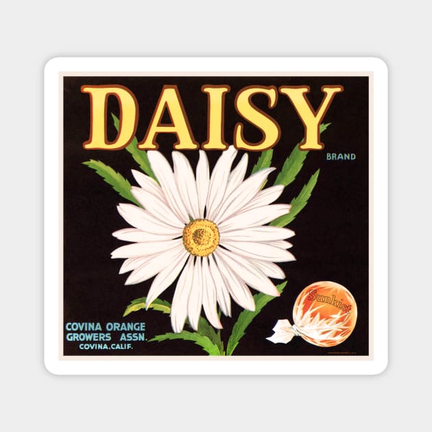 Daisy Sunkist Crate La Magnet by WAITE-SMITH VINTAGE ART