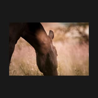 Romantic horse mood on the pasture T-Shirt