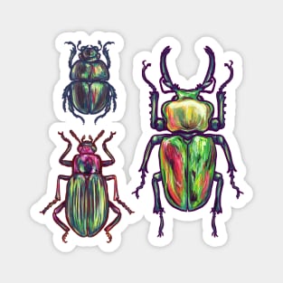 Jewel Beetles Magnet