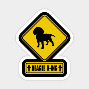 Cool Beagle - Shield - Beagles crossing. Magnet