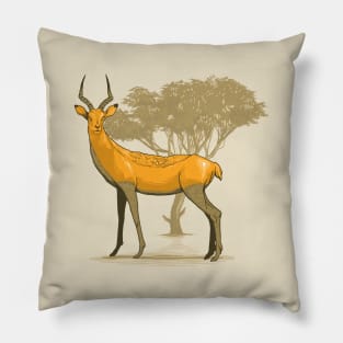 Cantelope Pillow