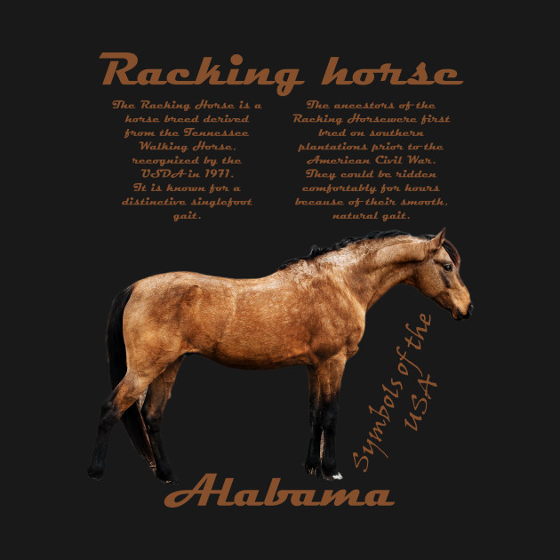 Racking Horse Alabama Usa
