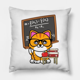 Funny Orange Cat is teaching Pillow