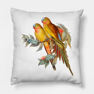 Princess of Wales Parakeet Vintage Illustration Pillow