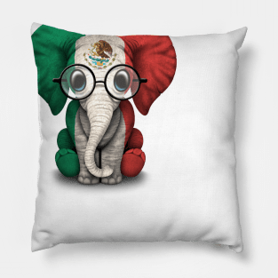 Baby Elephant with Glasses and Mexican Flag Pillow