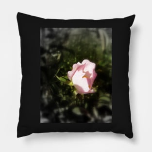 old-fashioned roses by Fox Creek & Columbia River 5 Pillow