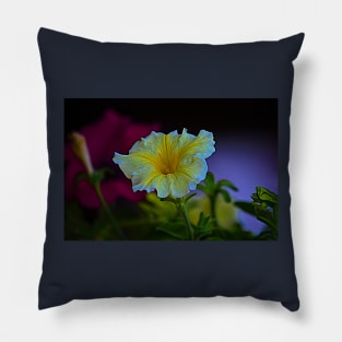 Designer 141958 x16 Pillow