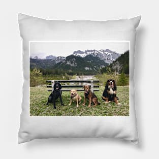 Four Pawed Friends Forever Pillow