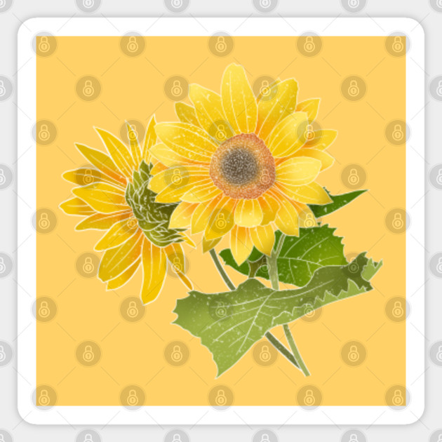 Summer Sunflowers Aesthetic Drawing Sunflowers Aesthetic Drawing Sticker Teepublic Uk
