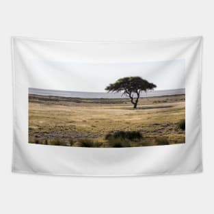 Acacia tree. Tapestry