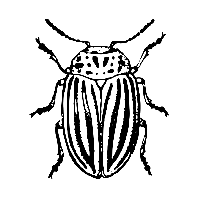 Beetle by xam