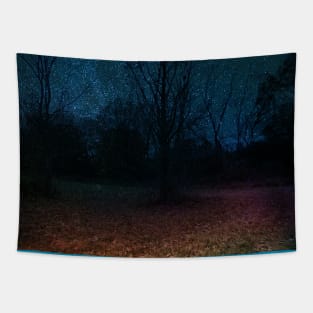 Mystical sparkly night Tapestry